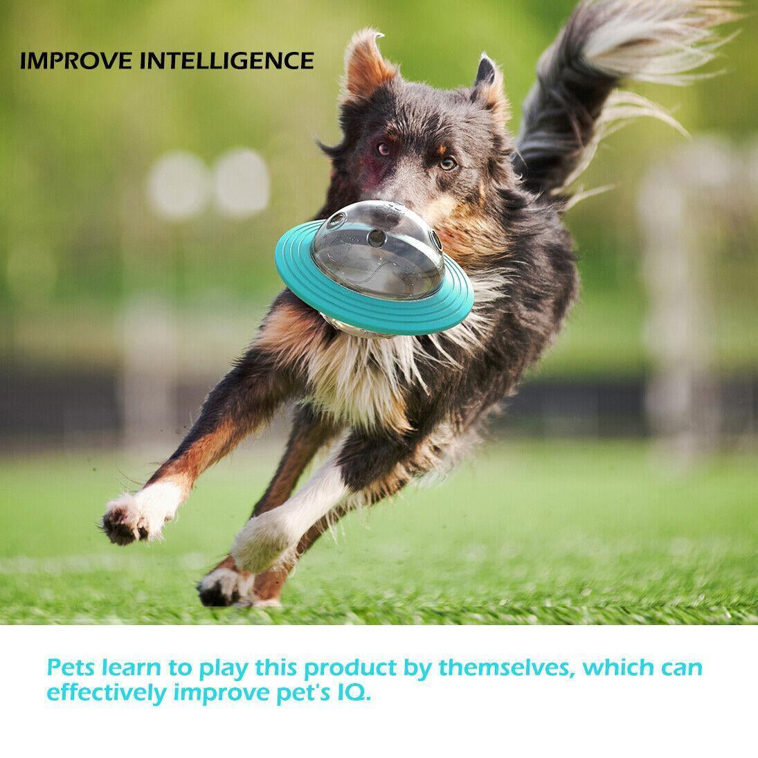 Puzzle Pet Treat Dispenser Ball for Dogs and Cats 