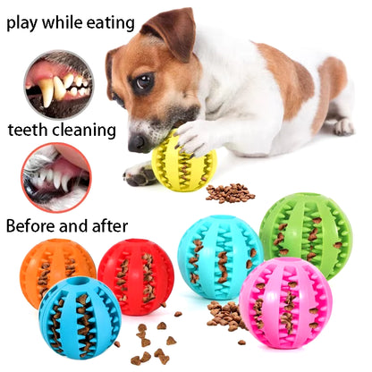 Natural Rubber Dog Chew Puzzle 