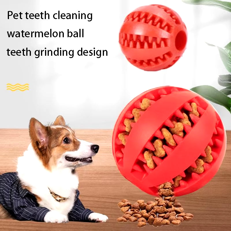 Natural Rubber Dog Chew Puzzle 
